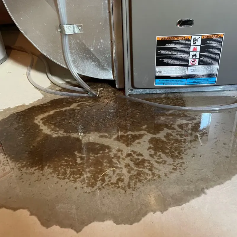 Pipe Burst and Leak Restoration in Gardena, CA